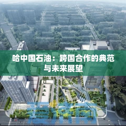 哈中国石油:跨国合作的典范与未来展望
