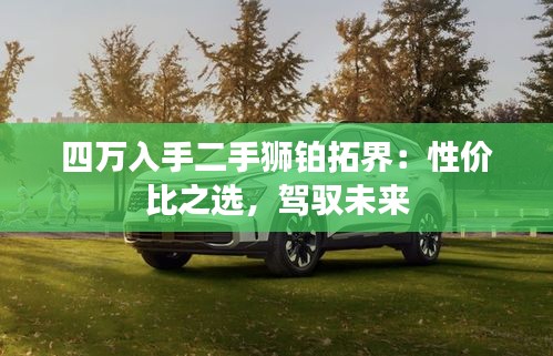 四万入手二手狮铂拓界:性价比之选,驾驭未来