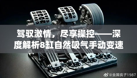 驾驭激情,尽享操控——深度解析8缸自然吸气手动变速箱的魅力