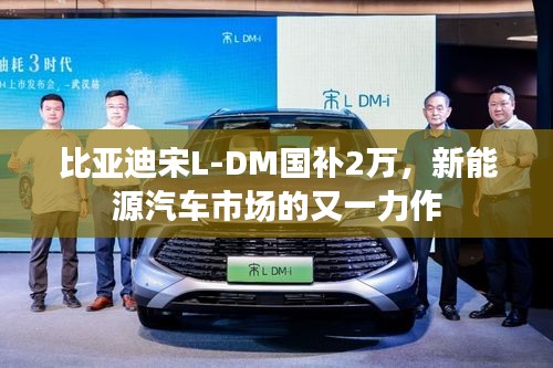 比亚迪宋L-DM国补2万,新能源汽车市场的又一力作