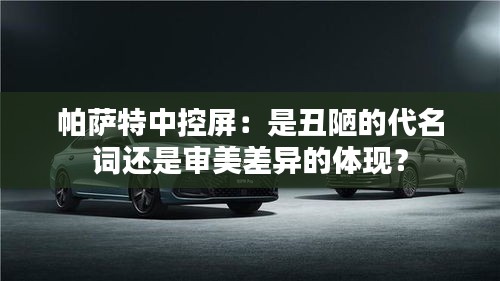帕萨特中控屏:是丑陋的代名词还是审美差异的体现?