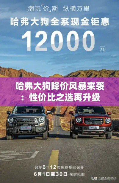 哈弗大狗降价风暴来袭:性价比之选再升级
