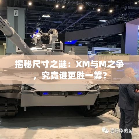 揭秘尺寸之谜：XM与M之争，究竟谁更胜一筹？
