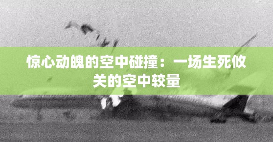 小鸟伊人 第7页