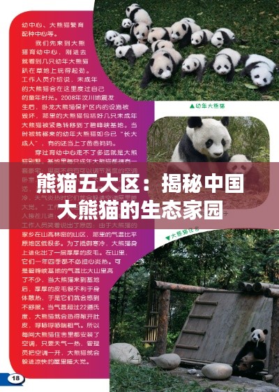 熊猫五大区:揭秘中国大熊猫的生态家园