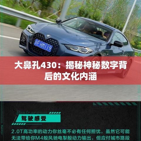 大鼻孔430:揭秘神秘数字背后的文化内涵