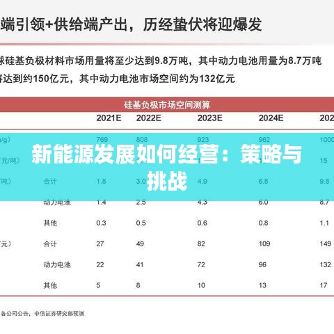 新能源发展如何经营:策略与挑战