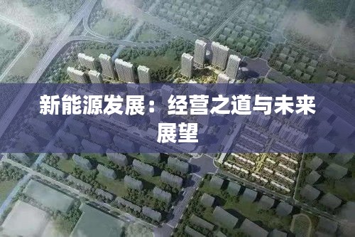 新能源发展:经营之道与未来展望