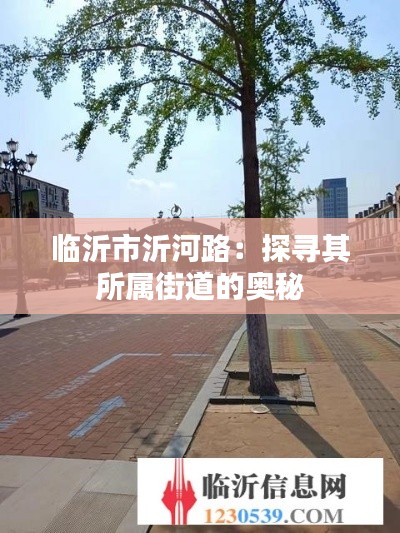 临沂市沂河路:探寻其所属街道的奥秘