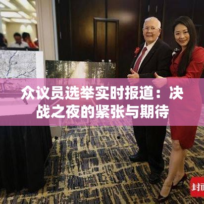 众议员选举实时报道:决战之夜的紧张与期待