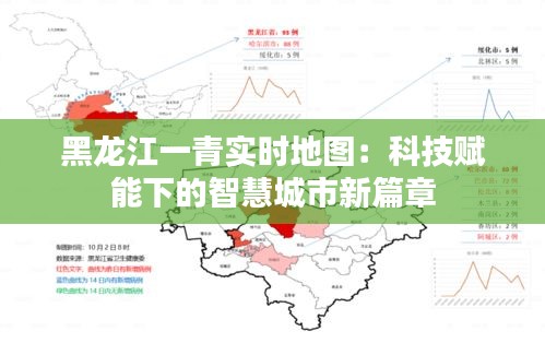成功案例 第455页
