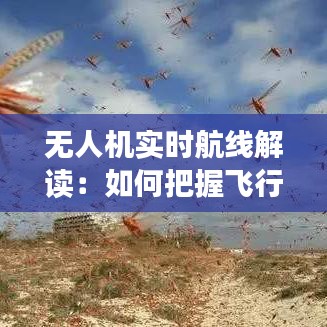 无人机实时航线解读:如何把握飞行轨迹