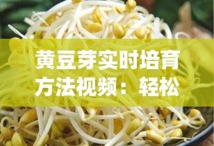 黄豆芽实时培育方法视频:轻松掌握绿色健康食品的种植技巧