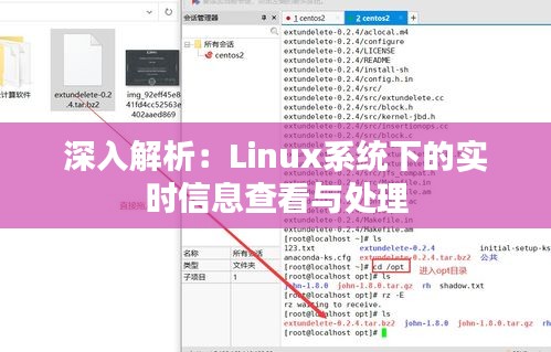 深入解析:Linux系统下的实时信息查看与处理