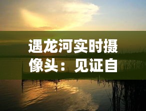 软件定制﻿﻿ 第441页