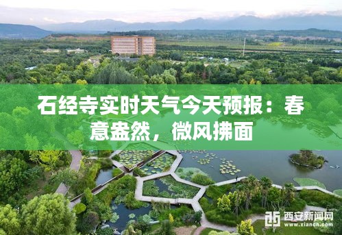 鸟云之阵 第5页