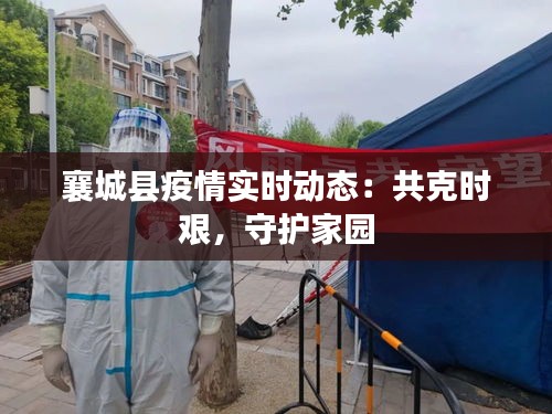 襄城县疫情实时动态:共克时艰,守护家园