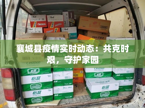 襄城县疫情实时动态:共克时艰,守护家园