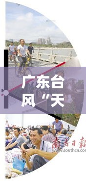 质而不俚 第6页