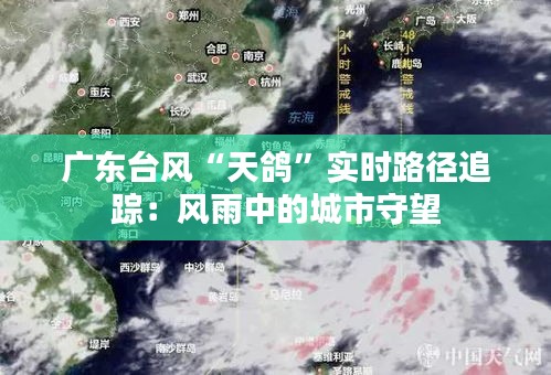 广东台风“天鸽”实时路径追踪:风雨中的城市守望