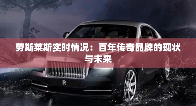 成功案例 第452页