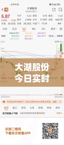 大湖股份今日实时分析:市场动态与投资前景解析