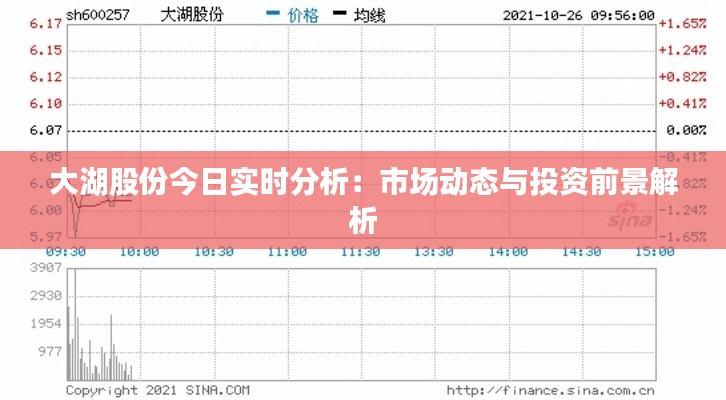 大湖股份今日实时分析:市场动态与投资前景解析