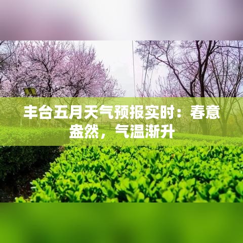 丰台五月天气预报实时：春意盎然，气温渐升