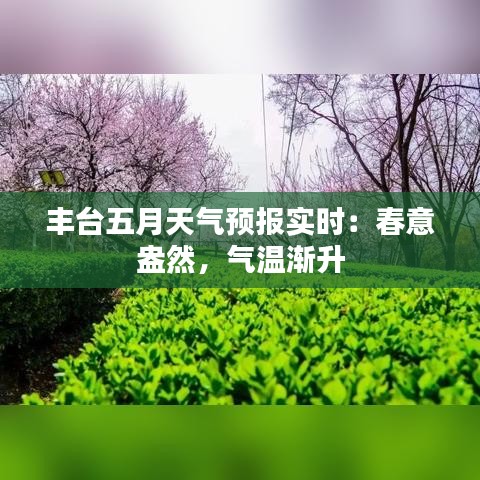 丰台五月天气预报实时:春意盎然,气温渐升