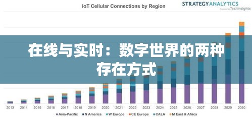 在线与实时:数字世界的两种存在方式