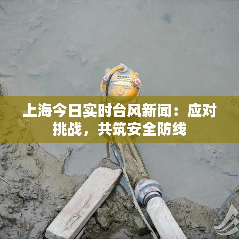 上海今日实时台风新闻:应对挑战,共筑安全防线