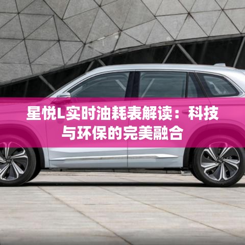 星悦L实时油耗表解读：科技与环保的完美融合