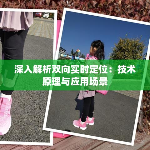 深入解析双向实时定位:技术原理与应用场景