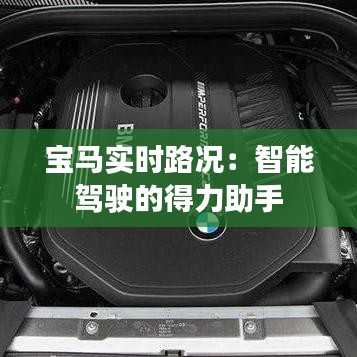 宝马实时路况：智能驾驶的得力助手