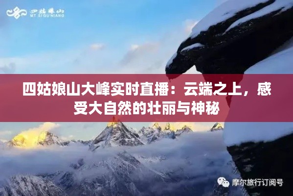 四姑娘山大峰实时直播:云端之上,感受大自然的壮丽与神秘