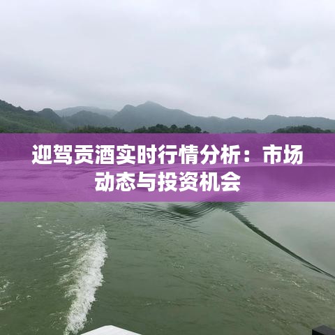 迎驾贡酒实时行情分析:市场动态与投资机会