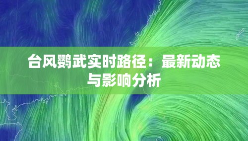 台风鹦武实时路径：最新动态与影响分析