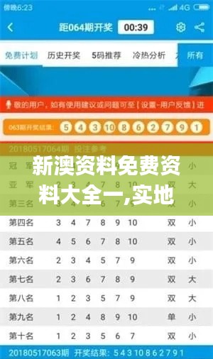 新澳资料免费资料大全一,实地验证方案策略_QHD版10.145