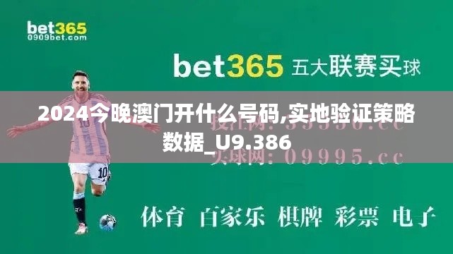 2024今晚澳门开什么号码,实地验证策略数据_U9.386