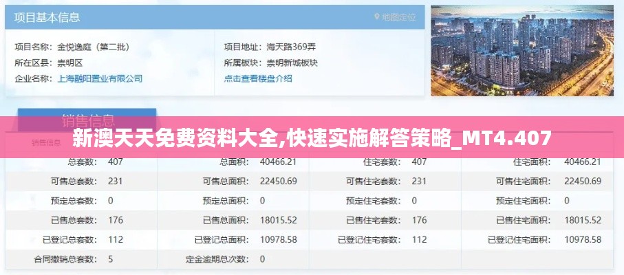 新澳天天免费资料大全,快速实施解答策略_MT4.407