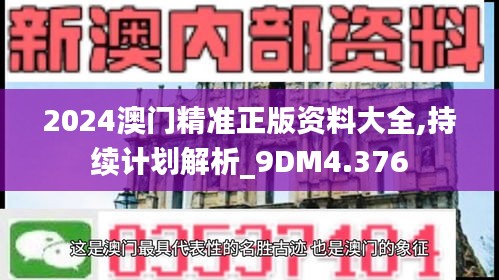 2024澳门精准正版资料大全,持续计划解析_9DM4.376