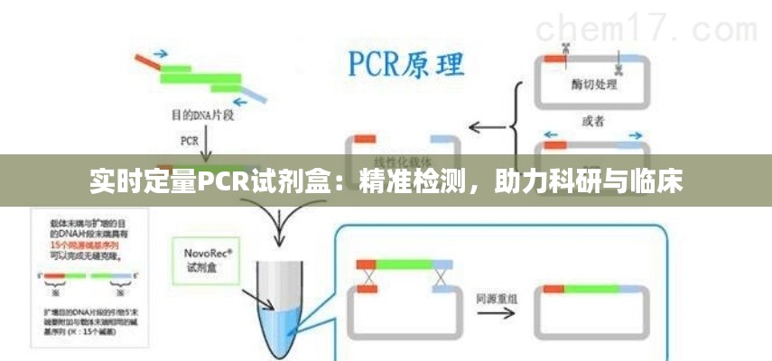 云烟 第6页