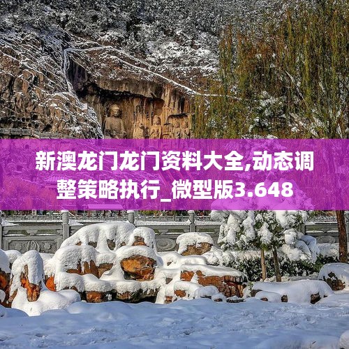 新澳龙门龙门资料大全,动态调整策略执行_微型版3.648