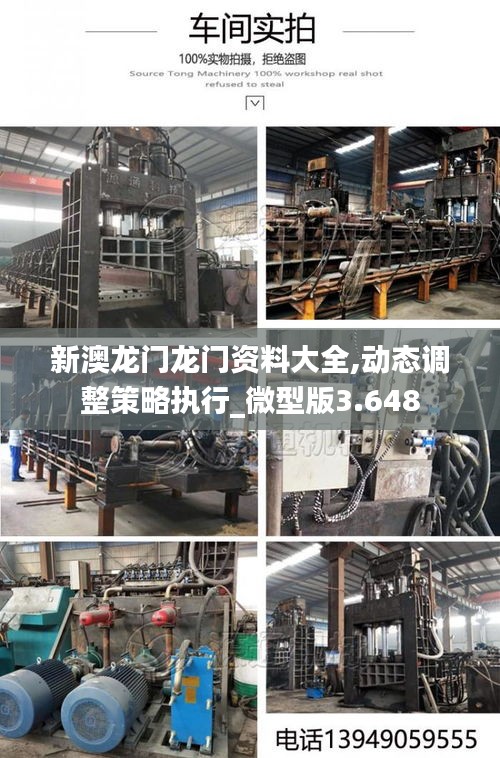 新澳龙门龙门资料大全,动态调整策略执行_微型版3.648