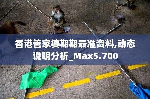 香港管家婆期期最准资料,动态说明分析_Max5.700
