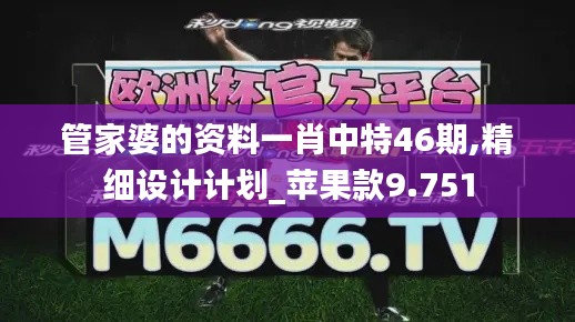 管家婆的资料一肖中特46期,精细设计计划_苹果款9.751