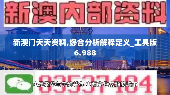 新澳门天天资料,综合分析解释定义_工具版6.988