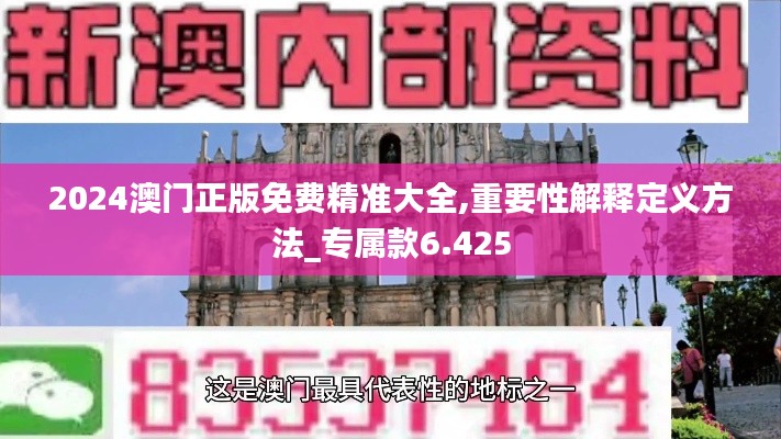 2024澳门正版免费精准大全,重要性解释定义方法_专属款6.425