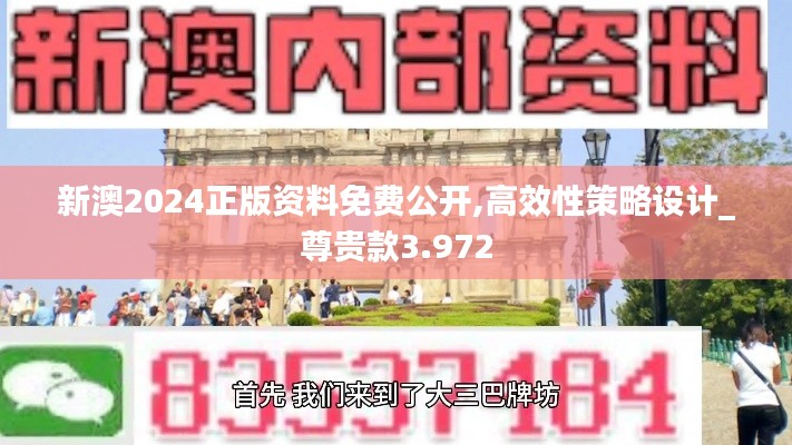 新澳2024正版资料免费公开,高效性策略设计_尊贵款3.972