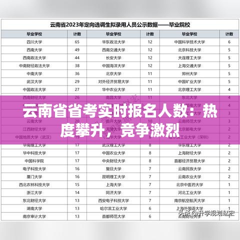 云南省省考实时报名人数:热度攀升,竞争激烈